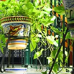 Mairena 2* 마이레나 델 알코르